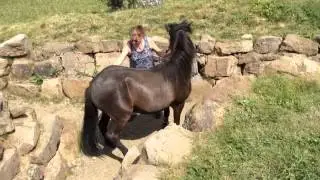 Extreme Trail