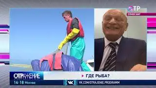 Александр Савельев о том, что происходит в рыбной отрасли