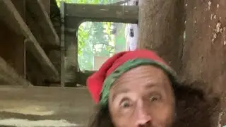 Matthew Silver lost and confused