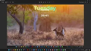 วิธีแคปหน้าจอ Windows 11 ที่เร็วและง่ายที่สุด!