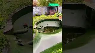 Пруд возле Дома/всё своими руками/Ломать не строить