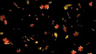 Leaves falling black screen video effect templates 🍁Kinemaster editing templates