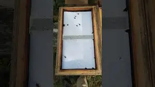 Как я борюсь на своей пасеке с клещем варроа!???
