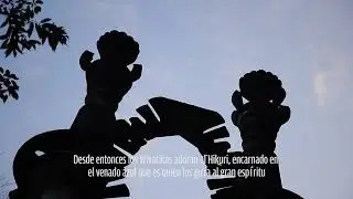 El venado azul - skateboarding México