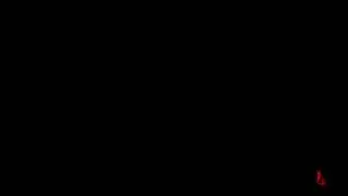 Apex code:net error