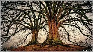 Tree of Life Versus Tree of Knowledge