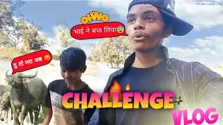 भैस से पड़ा पाला 😰😤 Photo Shoot Comedy Vlog🤣🤣| #comedy #viralvideo