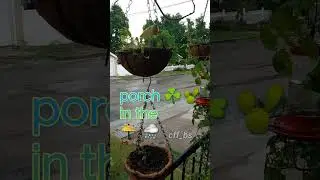 #rain