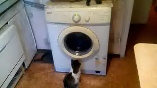 Отдай сейчас же!