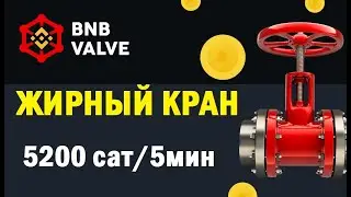 BNB VALVE новый бинанс коин кран 5200 сатоши за 5 минут free binance coin faucet