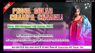 2021Old is gold Nagpuri DJ song full gulab champa chameli DJ ROSHAN CHHAPARPARA DJ SURAJ LAILUNGA DJ