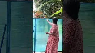 Mom’s Love to Birds 🥹❤️ #birdlovers #kitchengarden #shorts