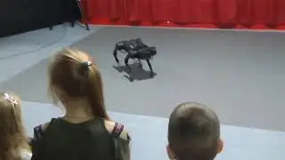 Spot (робособака Boston Dynamics) выступает в робоцирке