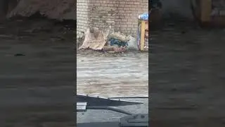 Директор ЖКХ Андрей не пользуется подарком