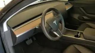 Tesla Model 3 Screen Flickering and Window Going Up and Down #2