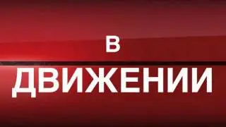 Ковбойская упряжка