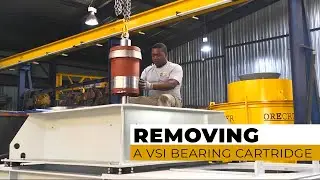 How to remove a bearing cartridge from a VSI