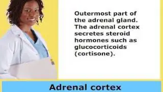 Medical Dictionary- Hear & See Medical Terms