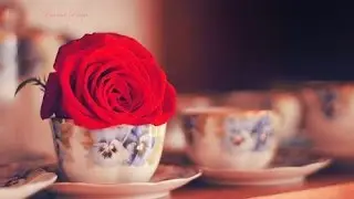 61-Güllere Vurgunum-Kenan Aklan