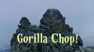 Exploring Okinawa - Diving  Gorilla Chop