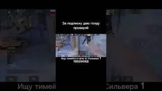 ИЩУ ТИМЕЙТА #веля #standoff2 #мувик #приколы #so2 #мем #папг #рик #сней#шортс#2024
