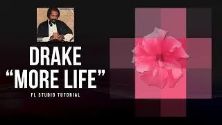Drake 