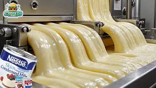 How ​​Condensed Milk Is Made in a Factory | The Condensed Milk Journey.