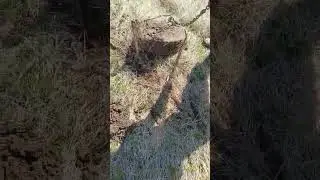 очередной чермет