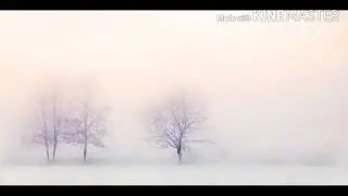 А.ВИВАЛЬДИ.ВРЕМЕНА ГОДА.ЗИМА.Из концерта для скрипки