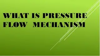 what  is  pressure flow mechanism  in  botany?