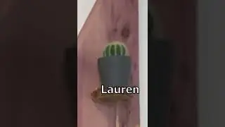 My Salon Cactus