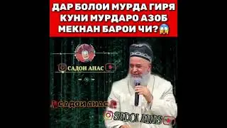 Гиря кардан дар боли мурда? Хочи Мирзо