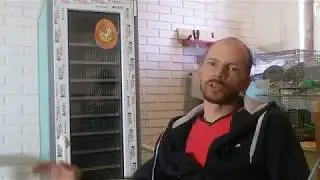 Какие бывают инкубаторы? Вспоминаем и не путаем.
