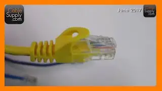 Product Description - Patch Cords
