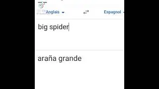 Big spider - Ariana Grande 😂