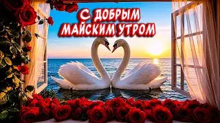 GOOD MAY MORNING! 🕊️ A beautiful song-wishes from the heart