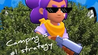 camping shelly in a nutshell