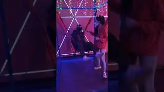 28 декабря 2020 г.
