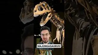 Majungasaurus! 