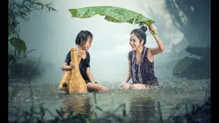 Som de Chuva e Trovoadas  - Para Dormir e Relaxar - Mix Selection