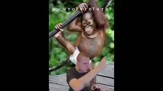 #mellstroy