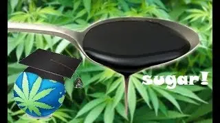 Adding Sugars To Cannabis Plants Guide – Molasses, Corn Syrup or Honey