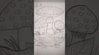 Risco para bordar ou pintar #artesanato #bordado #colorirdesenhos #desenhos #risco #art #drawing