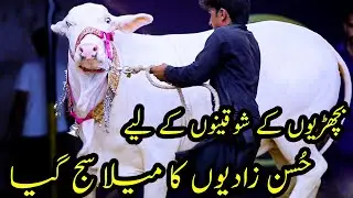In Bachrion Ka Husun Dekh Ker Deewane Ho Jao Ge 😍 Al Saeed Ki Husun-zadian ❤