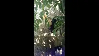 VID 20160213 092118
