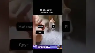 #кс #кс2 #ксго #мем #мемы #cs #cs2 #csgo #meme #нож #друг #одолжил #долг #кража #вор #магия #кот