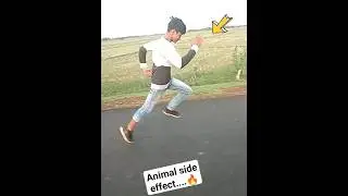 After watching Animal movie ❤️‍🔥#shorts #animal #short #viral