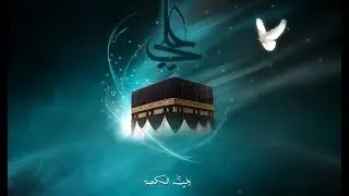 💝 Main Kabe Ko Dekhunga 🎶 new nath status 💝# Haifaz Tahir Qadri 💝