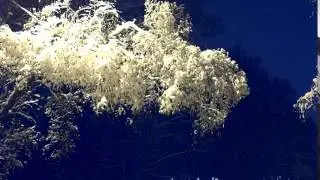 Footage free   Футаж бесплатно   000050