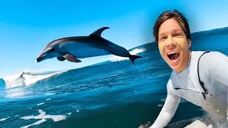 I went Surfing with Dolphins?!